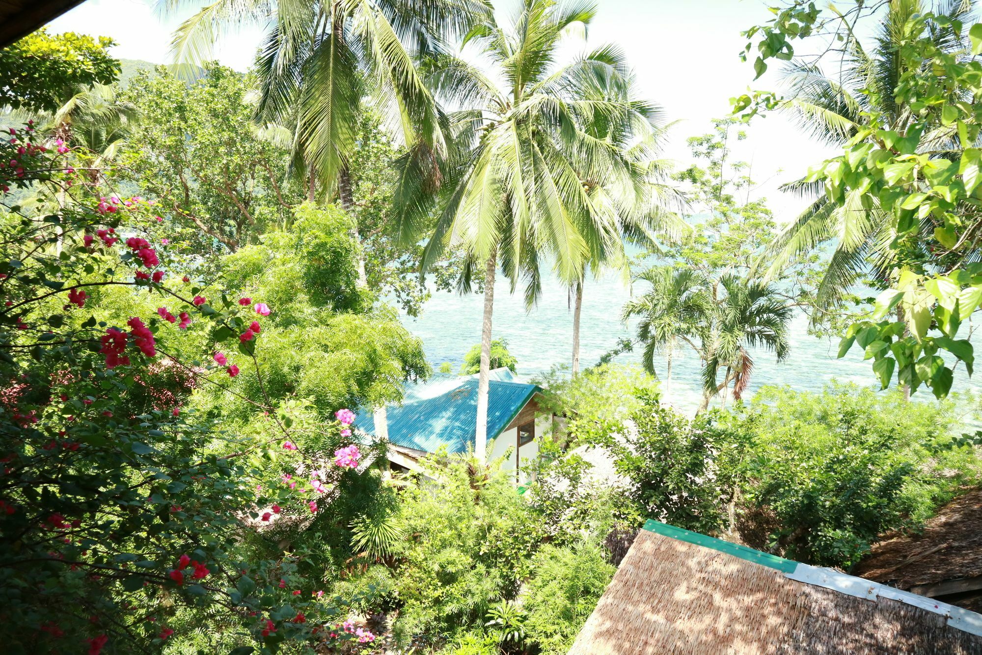 Golden Monkey Cottages El Nido Exterior photo