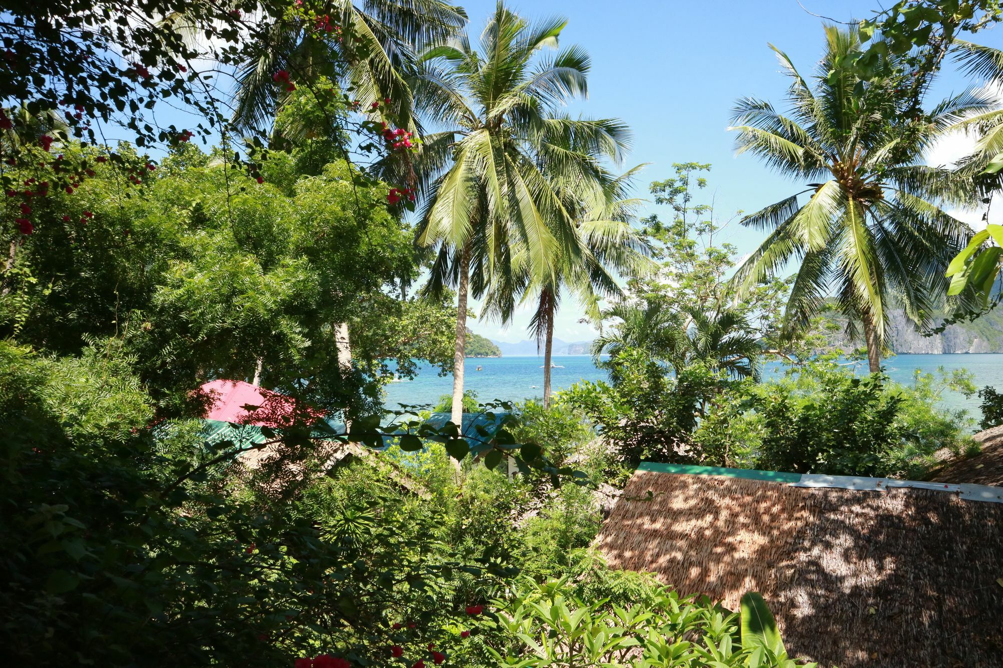 Golden Monkey Cottages El Nido Exterior photo